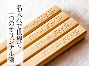 ²Äǽ¤Ê¸Â¤ê¤´Í×˾¤Ë¤ª±þ¤¨¤·¤Þ¤¹